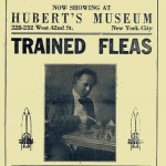 Historische Werbung für den Flohzirkus in Hubert's Museum in New York